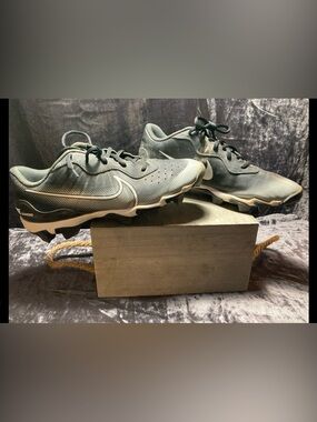 Nike Fastflex Baseball Cleats